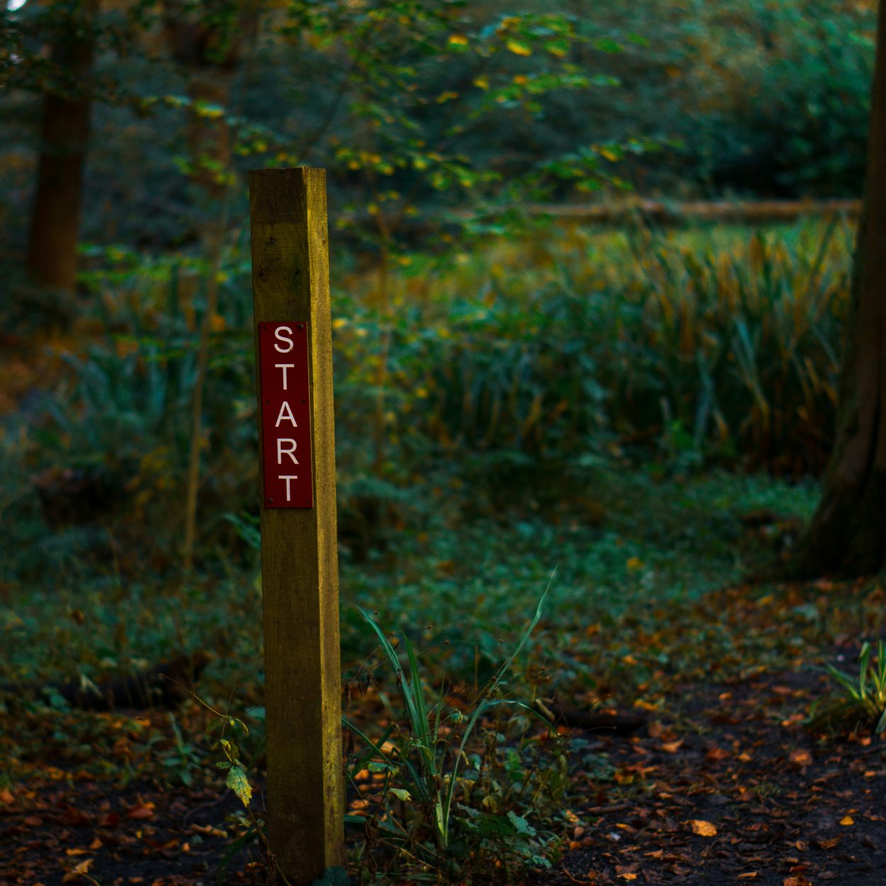 Stress from Life Transitions in Kelowna: How to Cope with Change