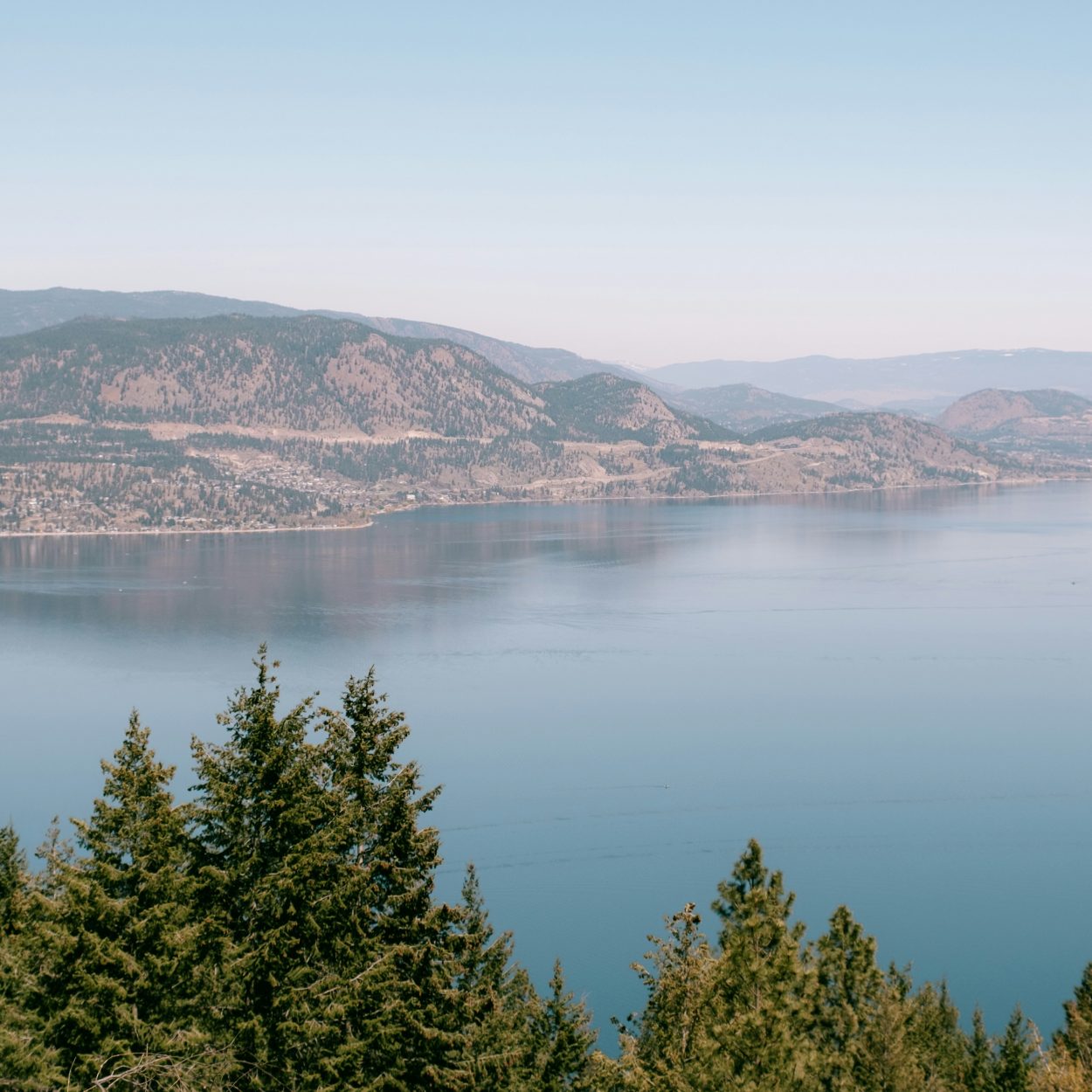 Mental Health During Wildfire Season in BC: A Guide for Kelowna and the Okanagan