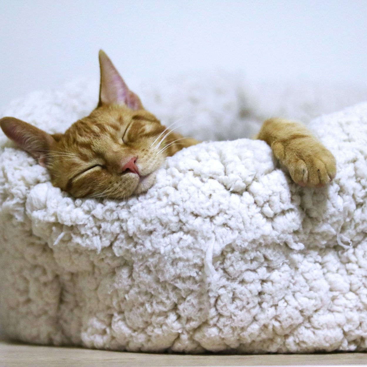 Why Rest Doesn’t Fix Burnout