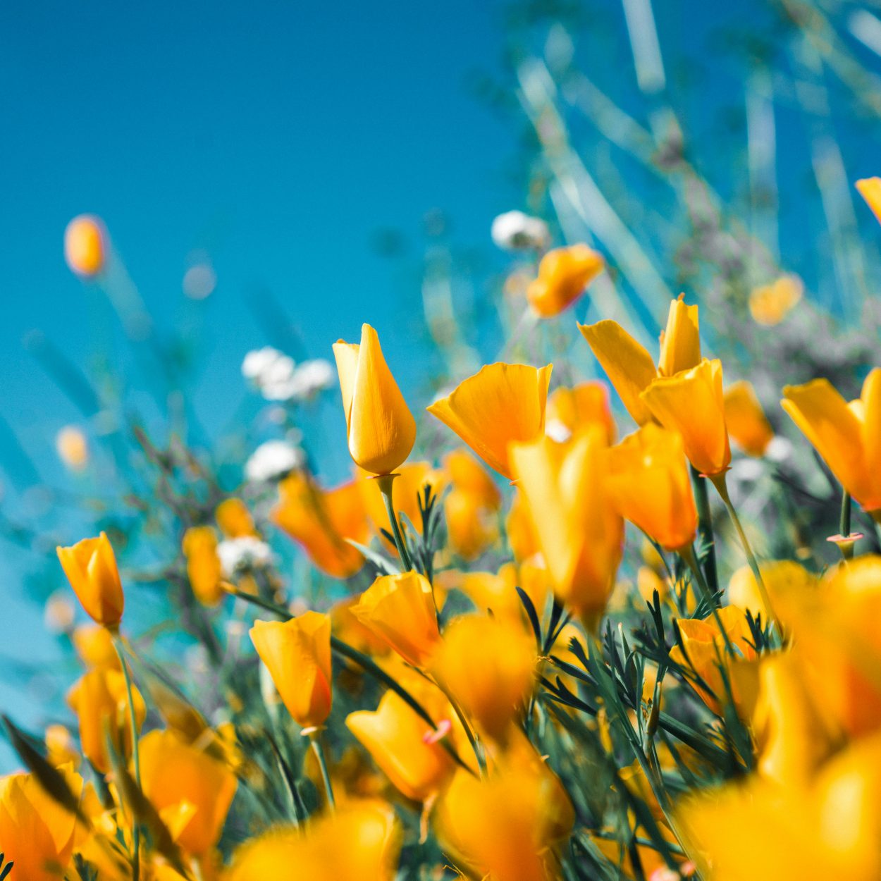 Emotional Burnout After Winter: Why You Feel So Drained in Spring