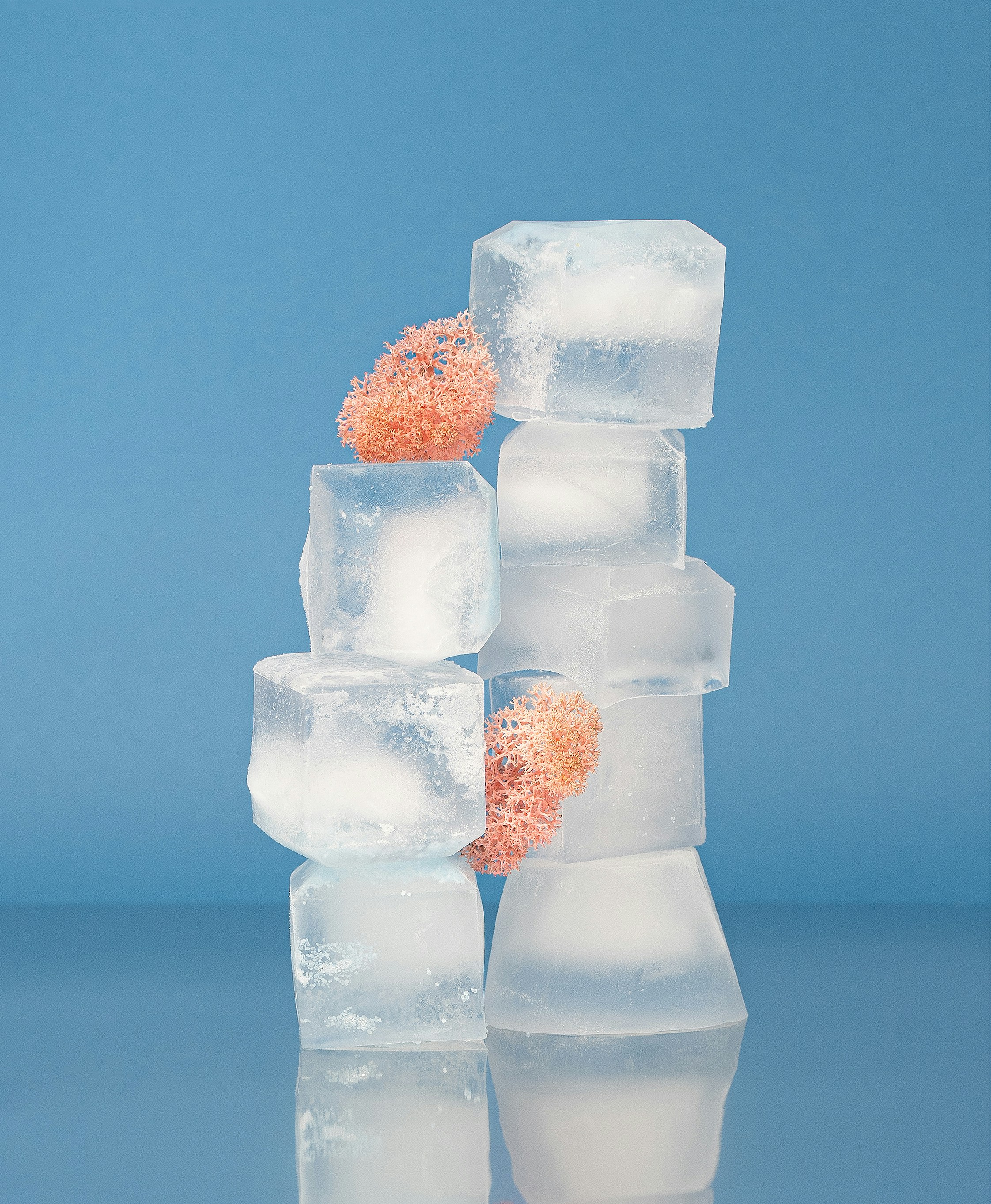 Functional Freeze: When You Look Fine on the Outside but Feel Stuck on the Inside
