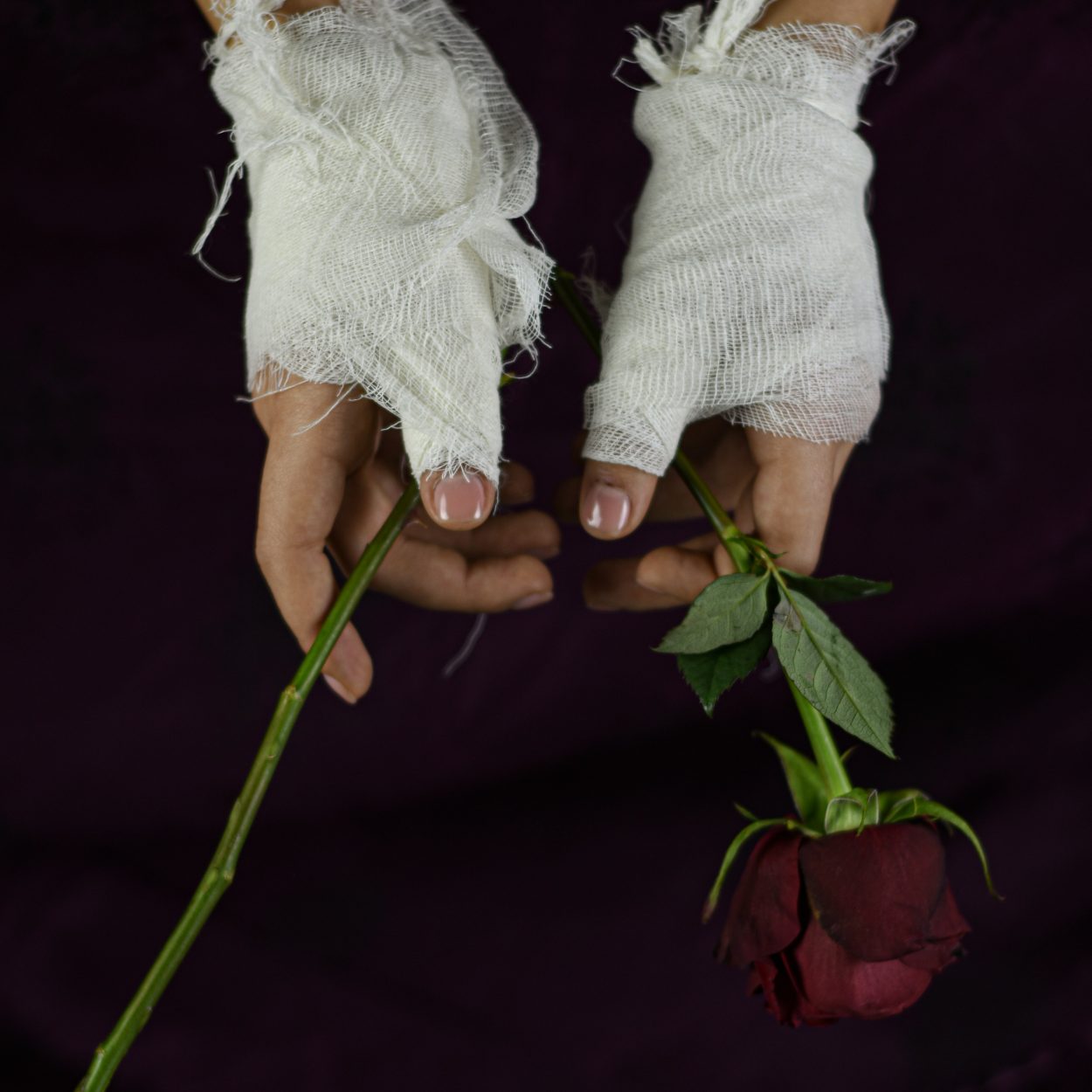 Trauma Recovery & Emotional Healing: Finding Your Way Forward